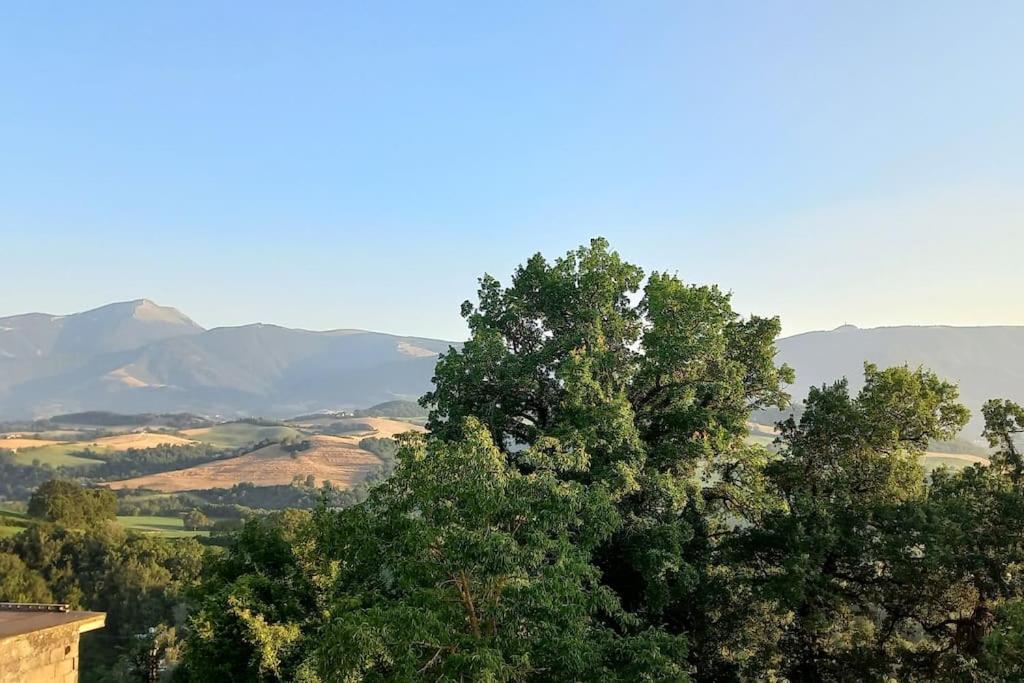 Pigno, Appartamento In Campagna Cagli Kültér fotó